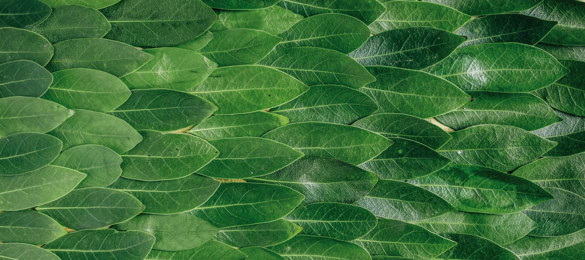 Nature Co-Design: una nuova rivoluzione industriale “generativa” 