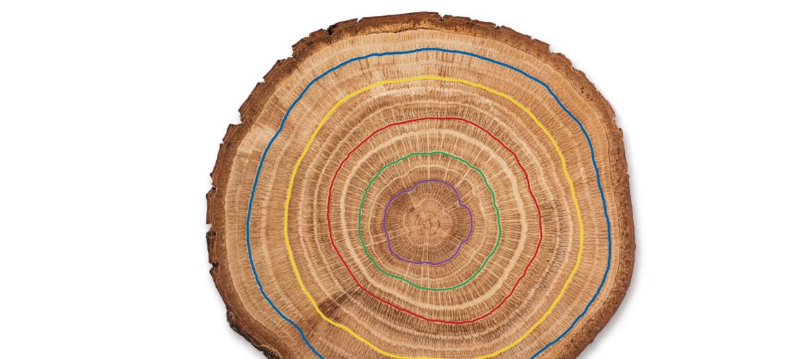 Tra evoluzione e rivoluzione