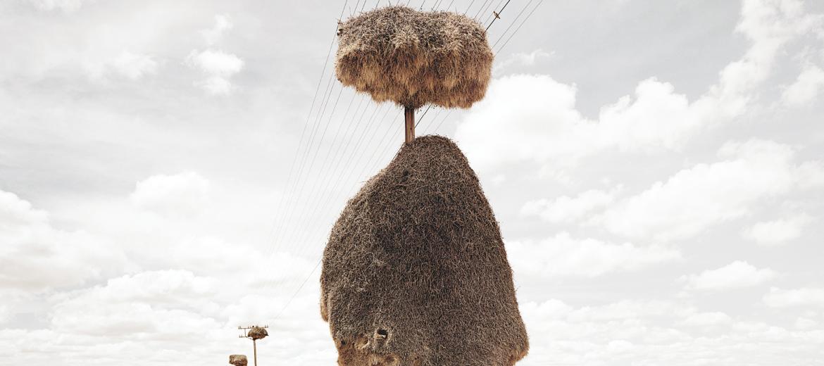 Un nuovo contratto sociale per i team