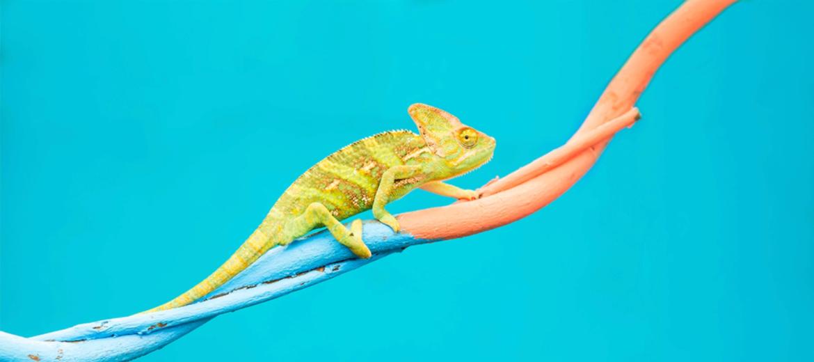 Come diventare più adattabili in situazioni difficili