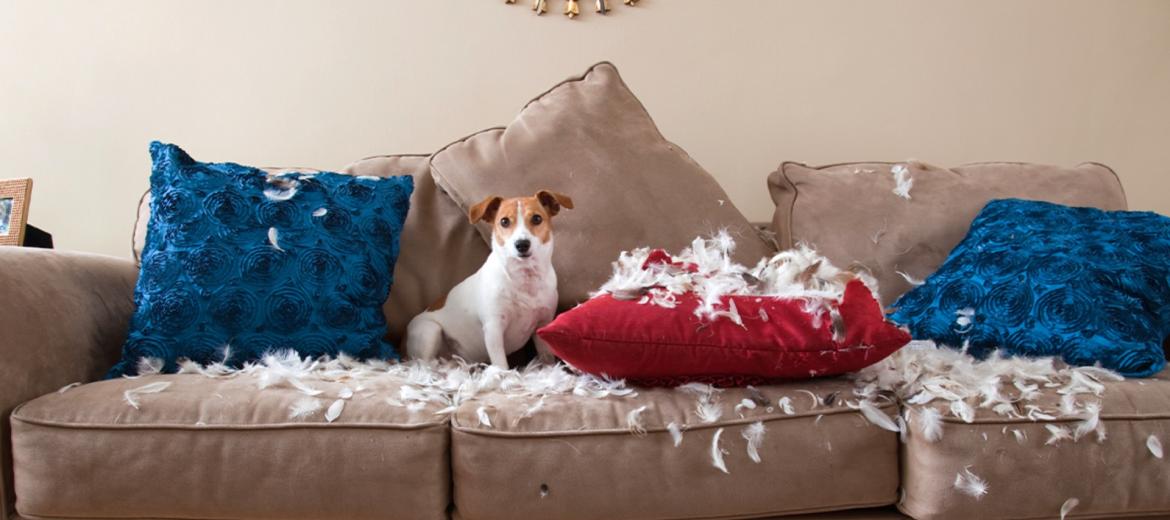 Perdonare un collega difficile