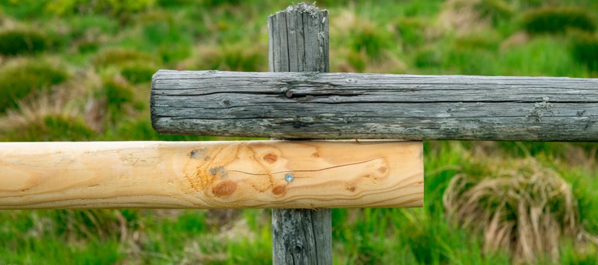 Come coinvolgere una forza lavoro multigenerazionale