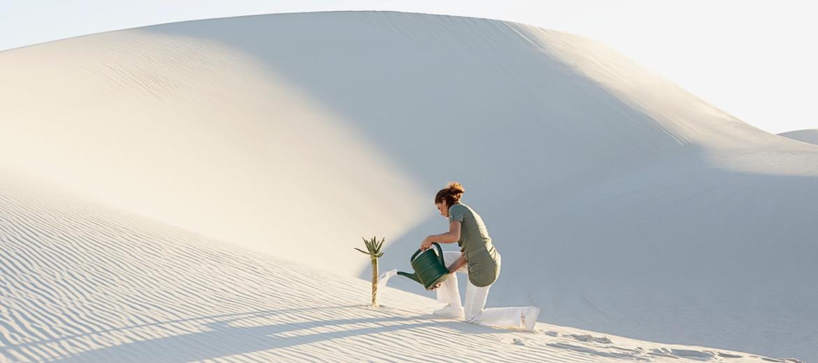 Come i leader possono creare una cultura orientata al purpose