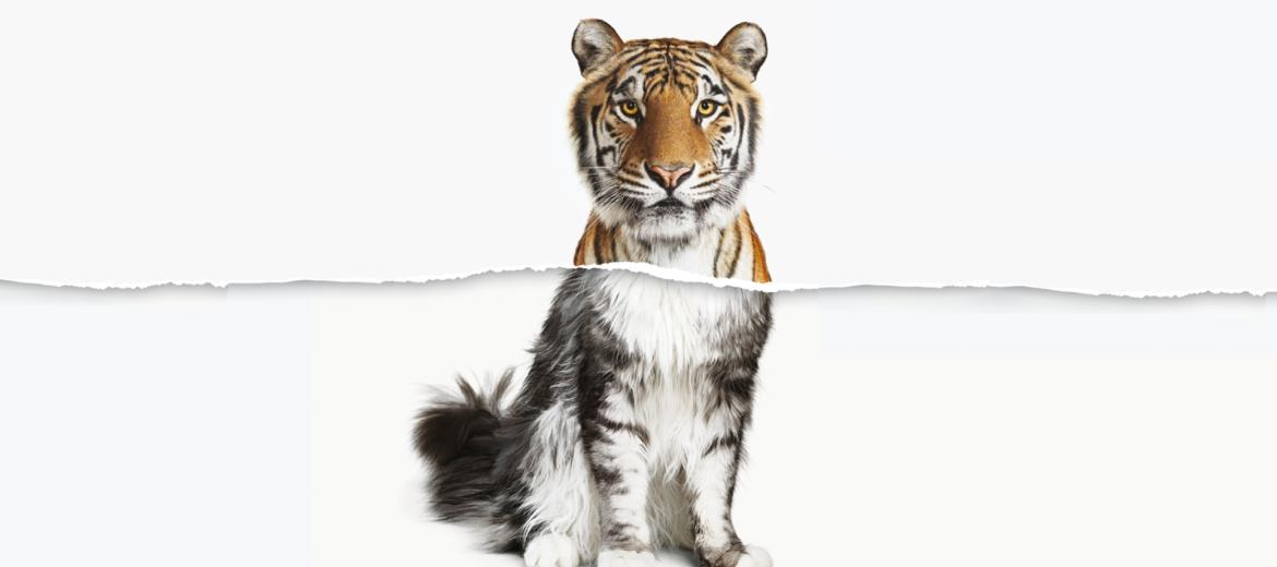 Nuovi percorsi di leadership