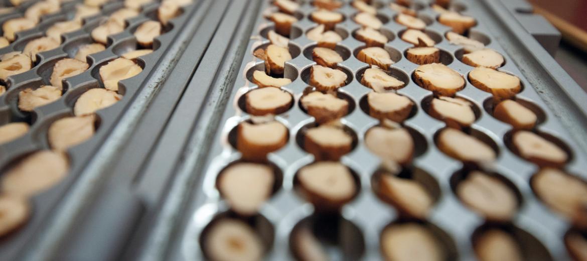 Ferrero e la sostenibilità: il nocciòlo della questione