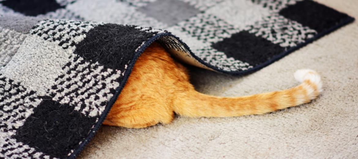 Guida per gli introversi alla visibilit&agrave; sul posto di lavoro