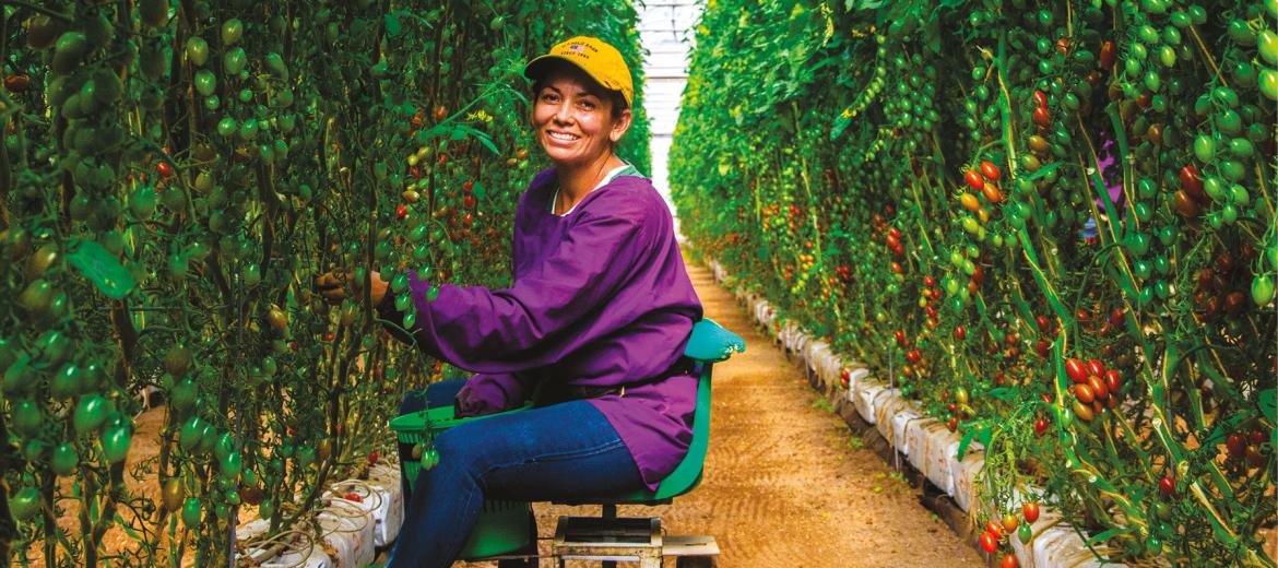 Puntare sulla risorsa-lavoro