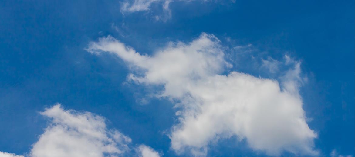 L’IA e la pareidolia semantica: quando vediamo coscienza dove non c’è