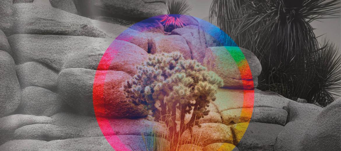 IA generativa: istruzioni per l’uso 