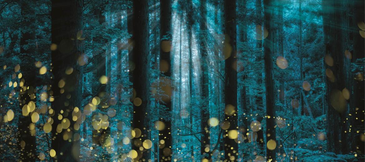 Come l’integrazione digitale sta riconfigurando le catene del valore