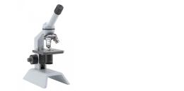 Scienza contro scienza: Il processo decisionale nell’era delle controversie scientifiche