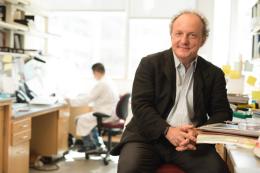 Conversazione con l'oncologo Pier Paolo Pandolfi