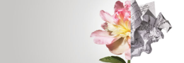 La legge di Gresham dell’efficienza