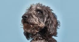 Non permettete al cinismo di avvelenare il vostro ambiente di lavoro