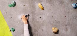 Come connettere i dipendenti al purpose dell’azienda