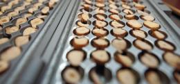 Ferrero e la sostenibilità: il nocciòlo della questione