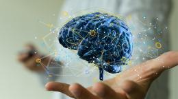Unicità dell’intelligenza umana e delle emozioni 
