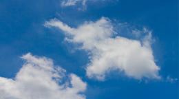L’IA e la pareidolia semantica: quando vediamo coscienza dove non c’è
