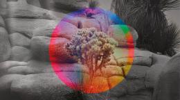 IA generativa: istruzioni per l’uso 