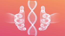 La doppia elica dell&rsquo;apprendimento