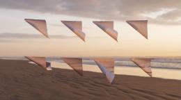 L&rsquo;organizzazione project-driven