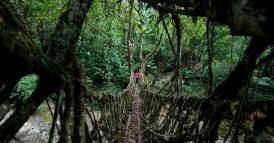 Finalmente la prova che gestire in un&rsquo;ottica di lungo periodo conviene