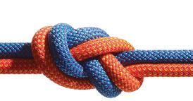 LA NEUROSCIENZA DELLA FIDUCIA