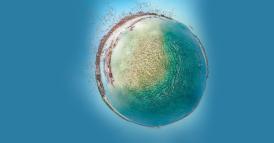 Nell&rsquo;economia degli ecosistemi, qual &egrave; la vostra strategia?