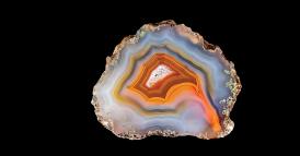 Metti lo scopo al centro della tua strategia