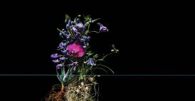 Comportamenti responsabili