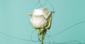 Combattere le molestie sessuali