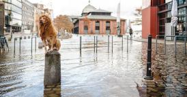 Sviluppate il vostro stile di leadership