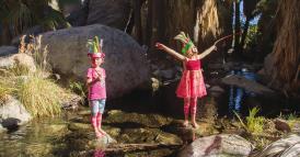 Le regole della co-opetition