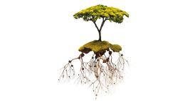 Costruite un'azienda familiare che duri nel tempo