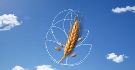 Nata sotto il cielo d&rsquo;Italia