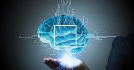 I nuovi sentieri delle marche nella platform economy