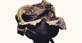 I rapporti di sostenibilit&agrave;: uno strumento sopravvalutato