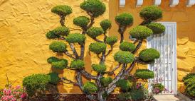 Quanto &egrave; capace di cambiare la vostra azienda?