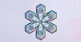 Il potere delle anomalie