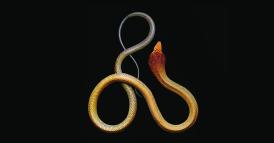 Gli imprenditori e la verit&agrave;