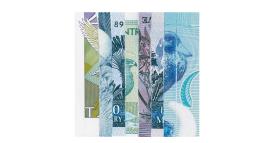 Come prendono le decisioni i venture capitalist