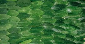 Nature Co-Design: una nuova rivoluzione industriale &ldquo;generativa&rdquo;