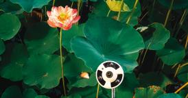 Intelligenza artificiale: arrivano le regole