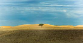 Le aziende alla prova della resilienza