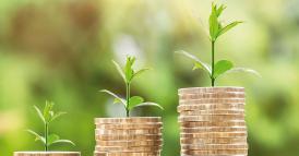 False dichiarazioni in campo ambientale e sociale: una violazione al pari del falso in bilancio?