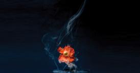 Il modo migliore di evitare i comportamenti scorretti