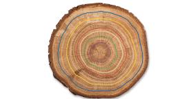 Tra evoluzione e rivoluzione