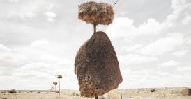 Un nuovo contratto sociale per i team