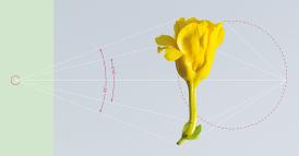 Il legame essenziale fra obiettivi ESG e performance finanziaria