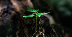 Il 2023: un anno di transizione per l&rsquo;economia mondiale